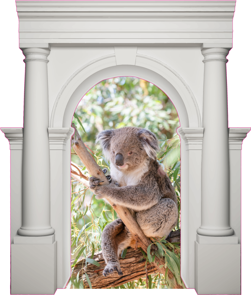 3D Wandtattoo grüner Koala