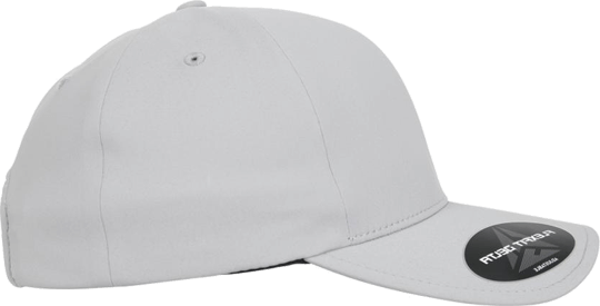 Anti Stain Adjustable Cap Silver