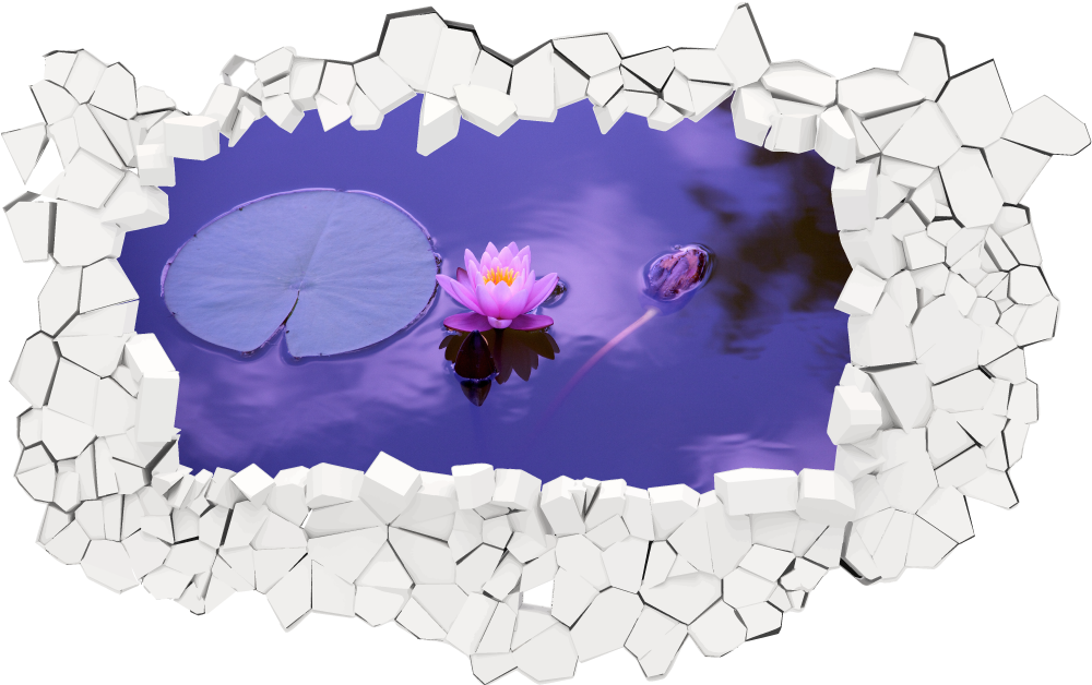 3D Wandtattoo Lotusblüte Mauer Weiß