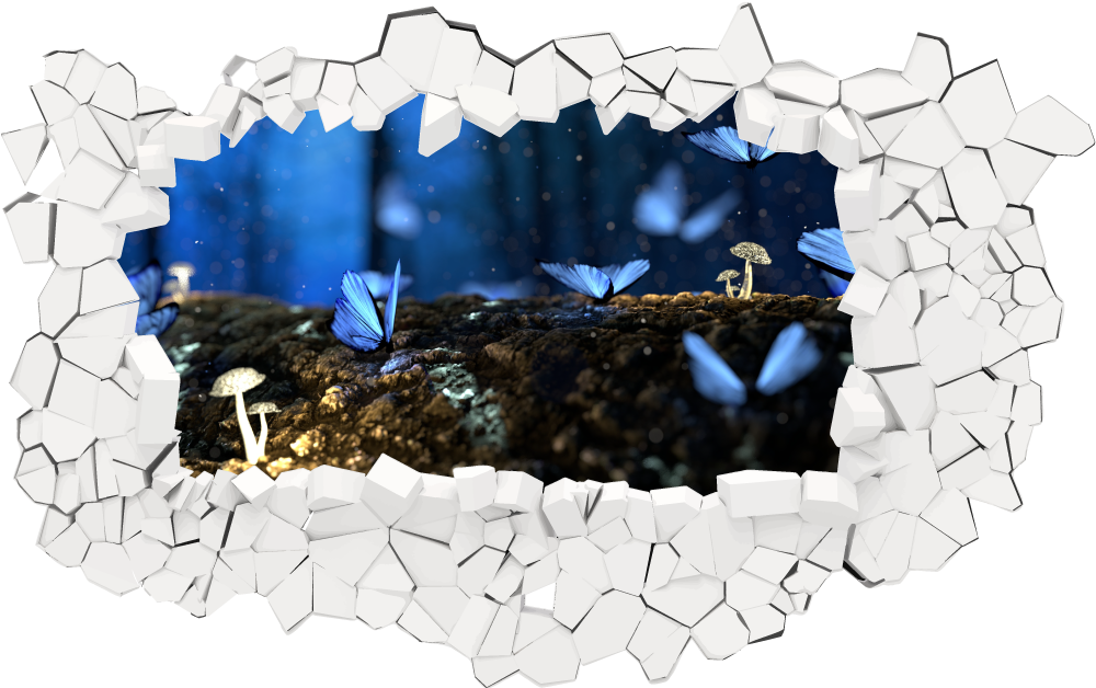 3D Wandtattoo Pilze und Schmetterlinge Mauer Weiß
